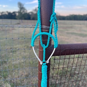 May include: A turquoise braided rope halter with a white rope noseband and silver hardware. The halter is hanging on a rusty metal fence post.