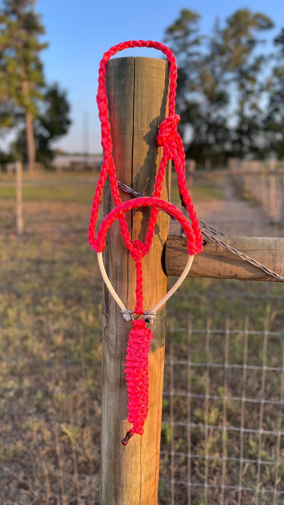 Custom Mule Tape Rope Noseband Halter - Etsy