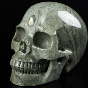 High quality 5.0&quot; SCALED AGATE Carved Crystal Skull, Realistic, Crystal Healing with Third eye