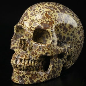 Pode incluir: Uma escultura de crânio humano feita de jaspe marrom e amarelo com um padrão salpicado. O crânio é detalhado com dentes e órbitas.