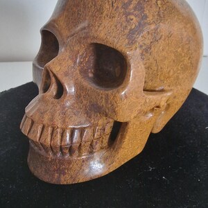 Coquina Jasper, Mariam Jasper Calligraphy Stone LIFESIZED 6.9&quot; Metaphysical healing Carved Crystal Skull, Crystal Healing, Skull Decor