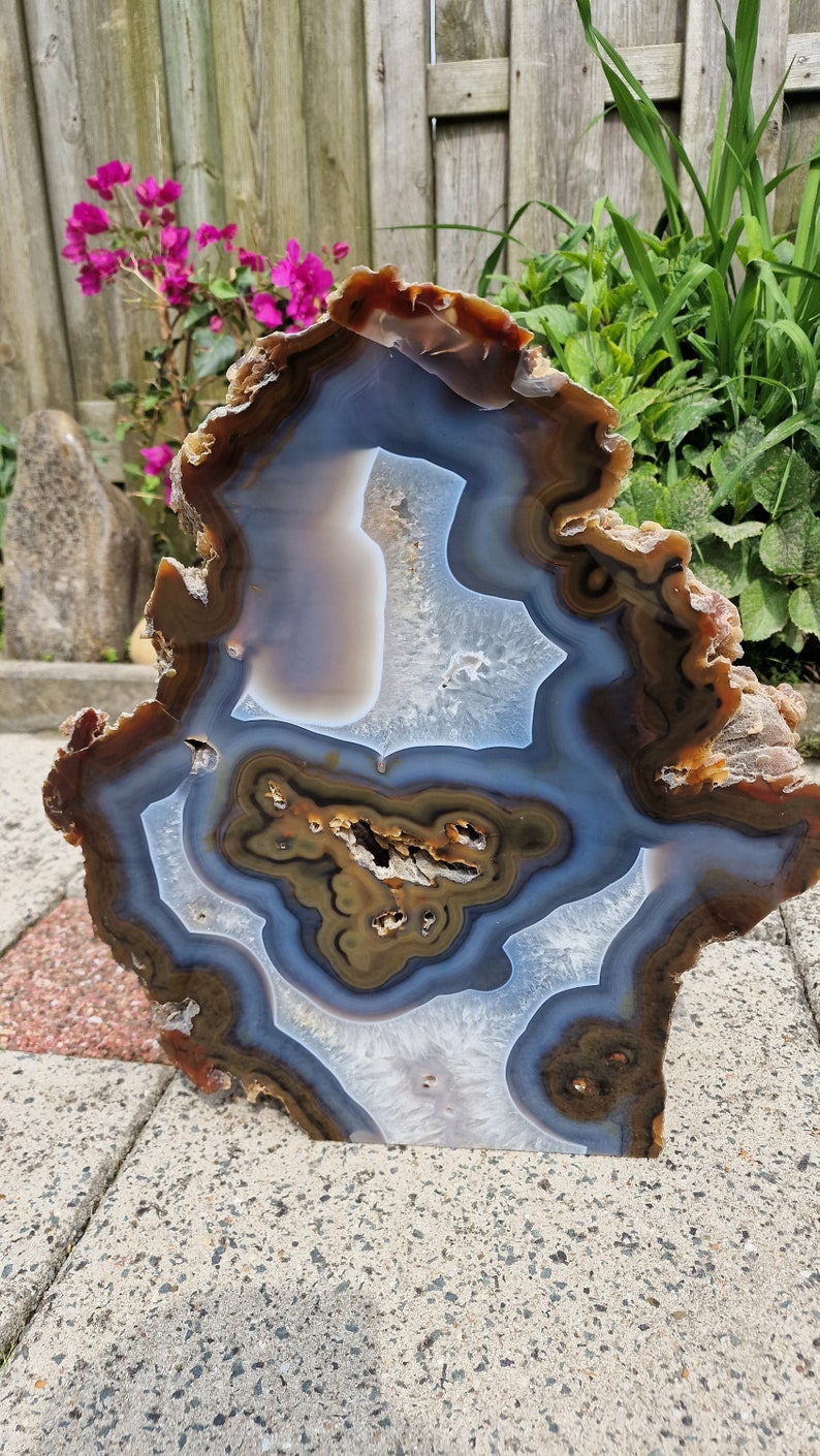May include: A large, freeform agate slice with a blue, white and brown banded pattern. The agate has a rough, natural edge and is displayed on a grey concrete surface.