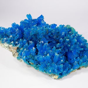 May include: A large cluster of vibrant blue crystals on a rough, brown rock. The crystals are sharp and pointed, creating a dramatic and eye-catching display.