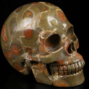 5.0&quot; PLUM blossom POPPY JASPER Carved Crystal Skull, Realistic, Healing
