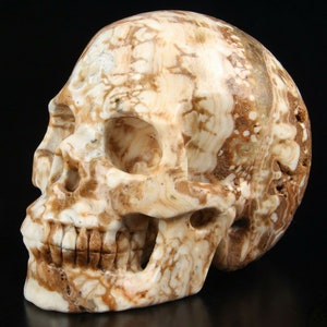 Huge 5.0&quot; Lace JASPER Carved Crystal Skull, Realistic, Crystal Healing