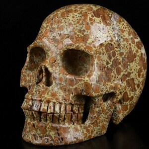 5.1&quot; ASTEROID JASPER Carved Crystal Skull, Realistic, Crystal Healing