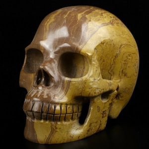5.0&quot; MONGOLIAN BANDED JASPER Carved Crystal Skull, Realistic, Crystal Healing