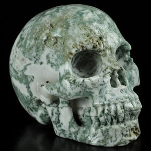 GREEN MOSS AGATE with Geode Crystal skull 5.0&quot;, Carved Crystal Skull, Realistic, Crystal Healing, Metaphysical healing, Skull collection
