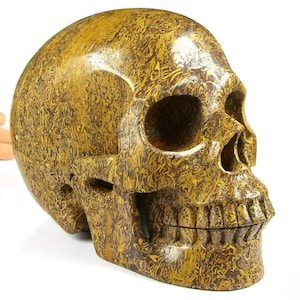Coquina Jasper, Mariam Jasper Calligraphy Stone LIFESIZED 6.9&quot; Metaphysical healing Carved Crystal Skull, Crystal Healing, Skull Decor