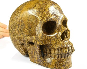 Coquina Jasper, Mariam Jasper Calligraphy Stone LIFESIZED 6.9&quot; Metaphysical healing Carved Crystal Skull, Crystal Healing, Skull Decor