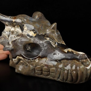 Dinosaur agate, vulcano agate  Hand carved 6.7&quot; Crystal Dragon Skull, Crystal, Metaphysical healing, Home decor, Skull decor, Dragon carving
