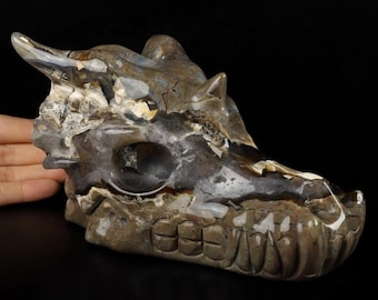 Dinosaurier Achat, Vulcano Achat Hand geschnitzt 6,7 "Kristalldrache Schädel, Kristall, Metaphysische Heilung, Wohnkultur, Schädel Dekor, Drachen schnitzen