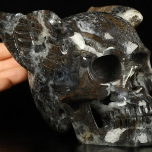 5.0&quot; Spharelite Skull with Wings Carved Crystal Skull, Realistic, Crystal Healing, Metaphysical, Meditation crystal, home decor