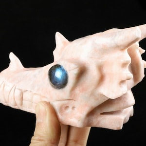 5.1&quot; RHODONITE Carved Crystal Dragon Skull, Crystal Healing