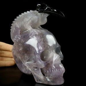 FLUORITE Carved Crystal Skull & Lizard Original 5.2&quot; , Crystal Healing, crystal decor, office decor, healing, metaphysical, crystal art