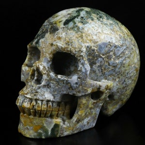 5.0&quot; GREEN MOSS AGATE Carved Crystal Skull, Realistic, Crystal Healing