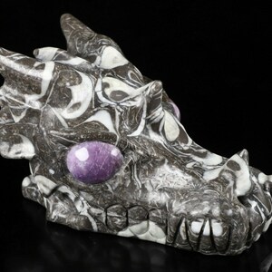 May include: A carved dragon skull made of fossilized stone with purple amethyst eyes. The skull is detailed with intricate carvings and a swirling pattern of black and white.