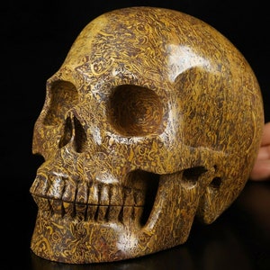 Coquina Jasper Mariam Jasper Calligraphy Stone LIFESIZED 6.7&quot; ELEPHANT skin JASPER Carved Crystal Skull, Realistic, Healing
