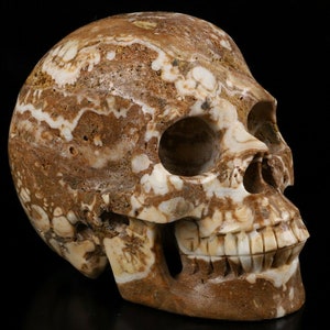Huge 5.0&quot; Lace JASPER Carved Crystal Skull, Realistic, Crystal Healing