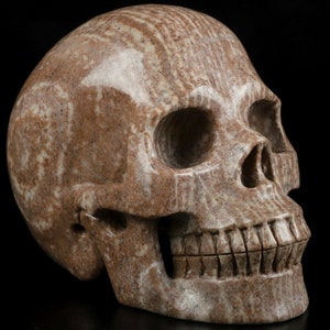 5.0&quot; MONGOLIAN BANDED JASPER Carved Crystal Skull, Realistic, Crystal Healing