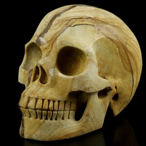 4.6&quot; PICTURE JASPER Carved Crystal Skull, Realistic, Crystal Healing