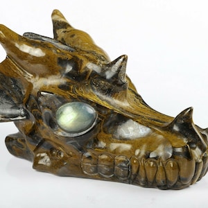 Hand carved 5.4&quot; TIGER IRON EYE Carved Crystal Dragon Skull, Crystal Healing