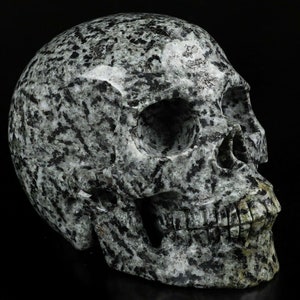 New Stone 5.1&quot; BIOTITE Carved Crystal Skull, Realistic, Crystal Healing