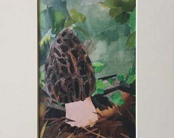 Morel Mushroom Collage - matted print - 5x7 image in 8x10 mat - fungi art