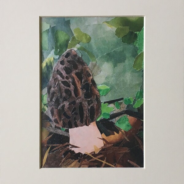 Morel Mushroom Collage - matted print - 5x7 image in 8x10 mat - fungi art