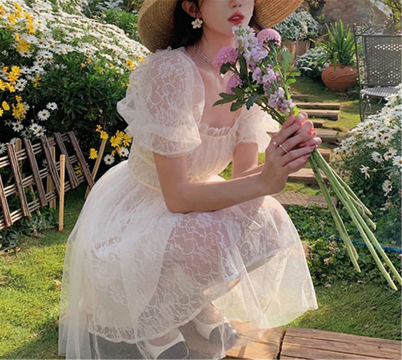French Fairy Vintage Dress