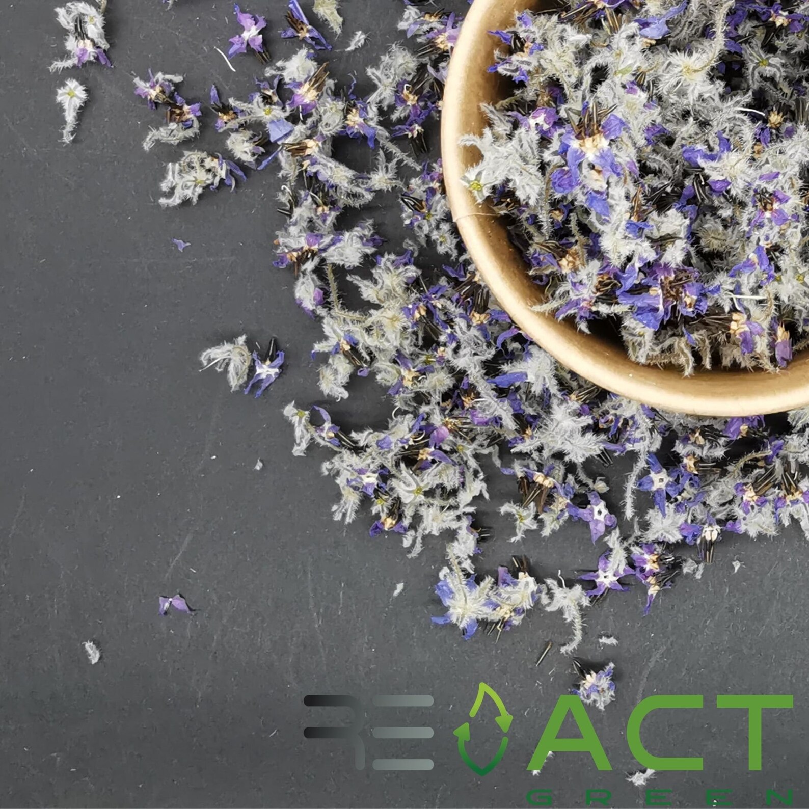 Dried EDIBLE Borage Edible Dried Flowers Edible Flowers Etsy