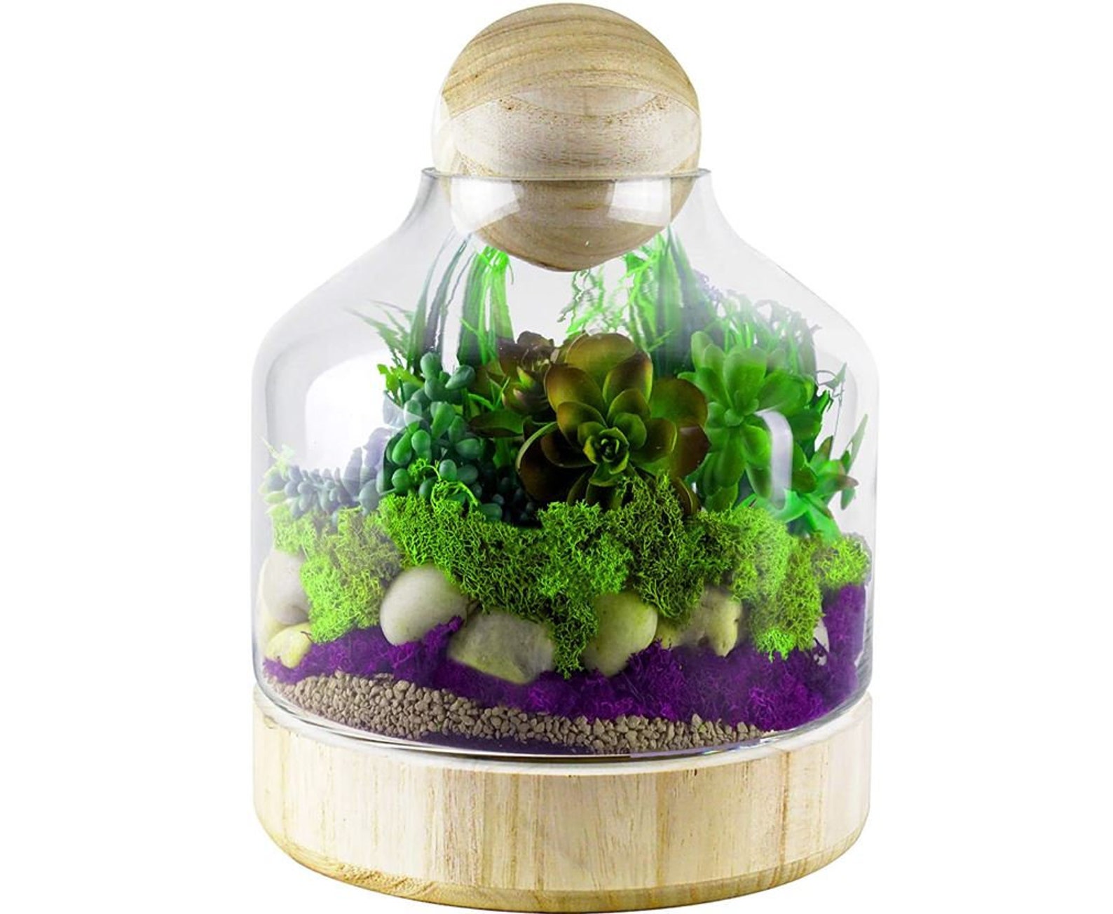 Contenedor de terrario de vidrio jarras de jardinera con base | Etsy