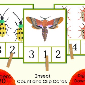 Insects Counting Clip Cards 1-20, Montessori Counting 1-20, Preschool Activity Card Printable, Homeschool Resource