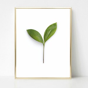 Leaf Print Wall Art, Botanical Prints, Green Leaves Poster, Botanical Art For Beroom Décor, Wall Art Décor DIGITAL DOWNLOAD