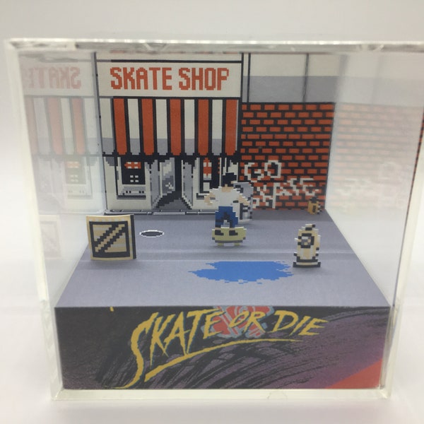 Skate or Die Skate Shop Menu Shadow Box Diorama Cube