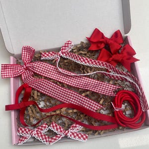 Red School Hair Bows, Hair Accessories for School, back to school