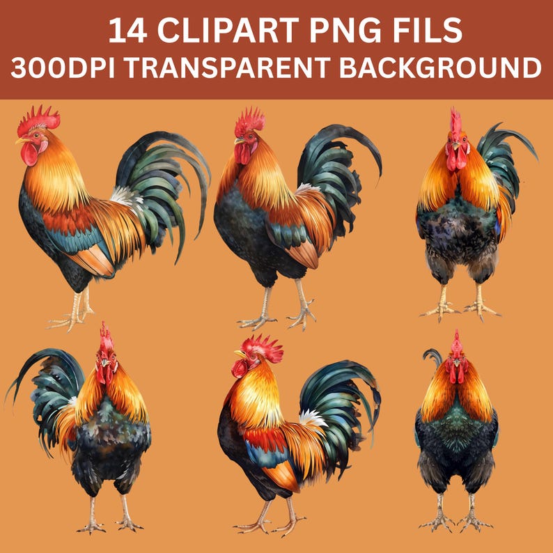 Rooster Rudy Texture Farm Rooster Watercolor Clipart | PNG Download (transparent Background ...