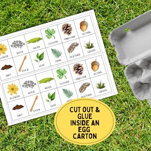 May include: Two printable sheets with images of nature items like a flower, rock, moss, clover, pinecone, acorn, dirt, stick, leaf, fern, feather, and grass. The text "CUT OUT & GLUE INSIDE AN EGG CARTON" is on a yellow circle.