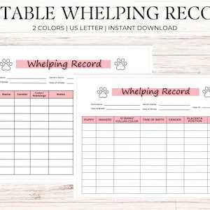 Hondenwerprecord bewerkbare PDF, fokkersrecords, hondenfokkersformulieren | Directe download