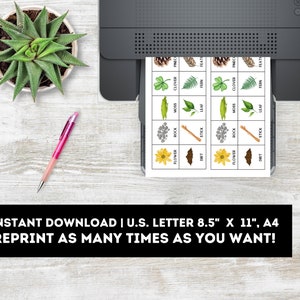 May include: Printable nature-themed matching game with 16 cards featuring images of pine cones, clover, ferns, moss, leaves, rocks, sticks, dirt, and flowers. The cards are printed on white paper and are ready to be cut out and used for a fun learning activity.