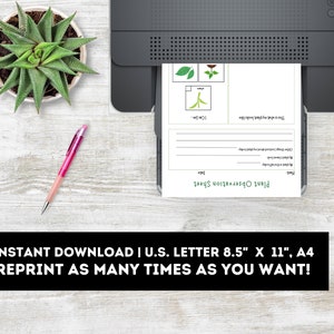 May include: Printable plant observation sheet with a title, space for the date, and a section for drawing the plant. The sheet also includes a section for recording observations about the plant's leaves, stems, and flowers.