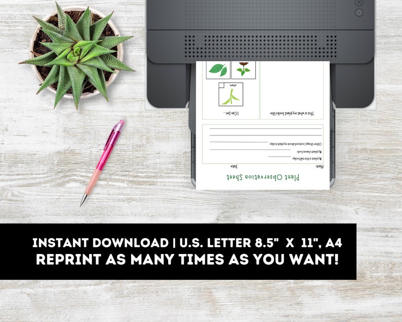 May include: Printable plant observation sheet with a title, space for the date, and a section for drawing the plant. The sheet also includes a section for recording observations about the plant's leaves, stems, and flowers.