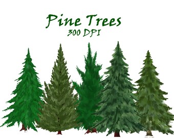 Puede incluir: Cinco ilustraciones de acuarela de pinos con follaje verde sobre un fondo blanco. El texto "Pine Trees 300 DPI" está en la parte superior de la imagen.