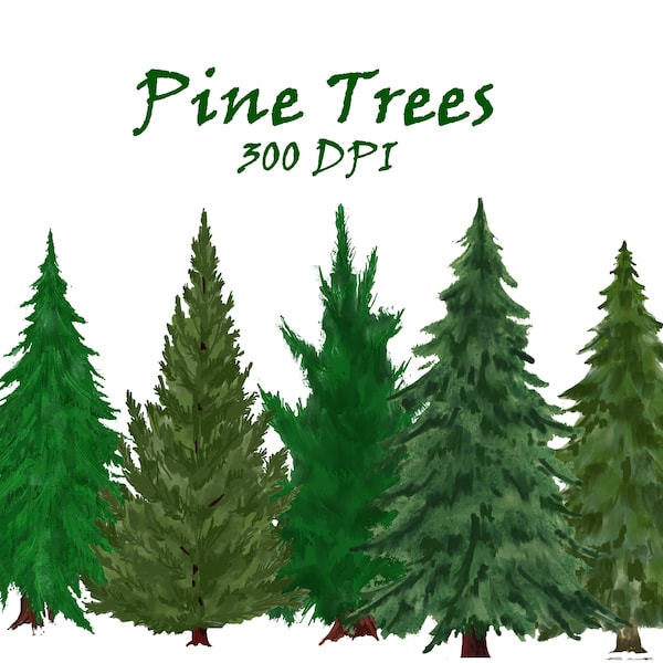 Pine Trees Watercolor Clipart. Fir Trees PNG. Evergreen Tree Clipart. Hand Painted Tree Illustration Christmas Winter Forest Clip Art Forest