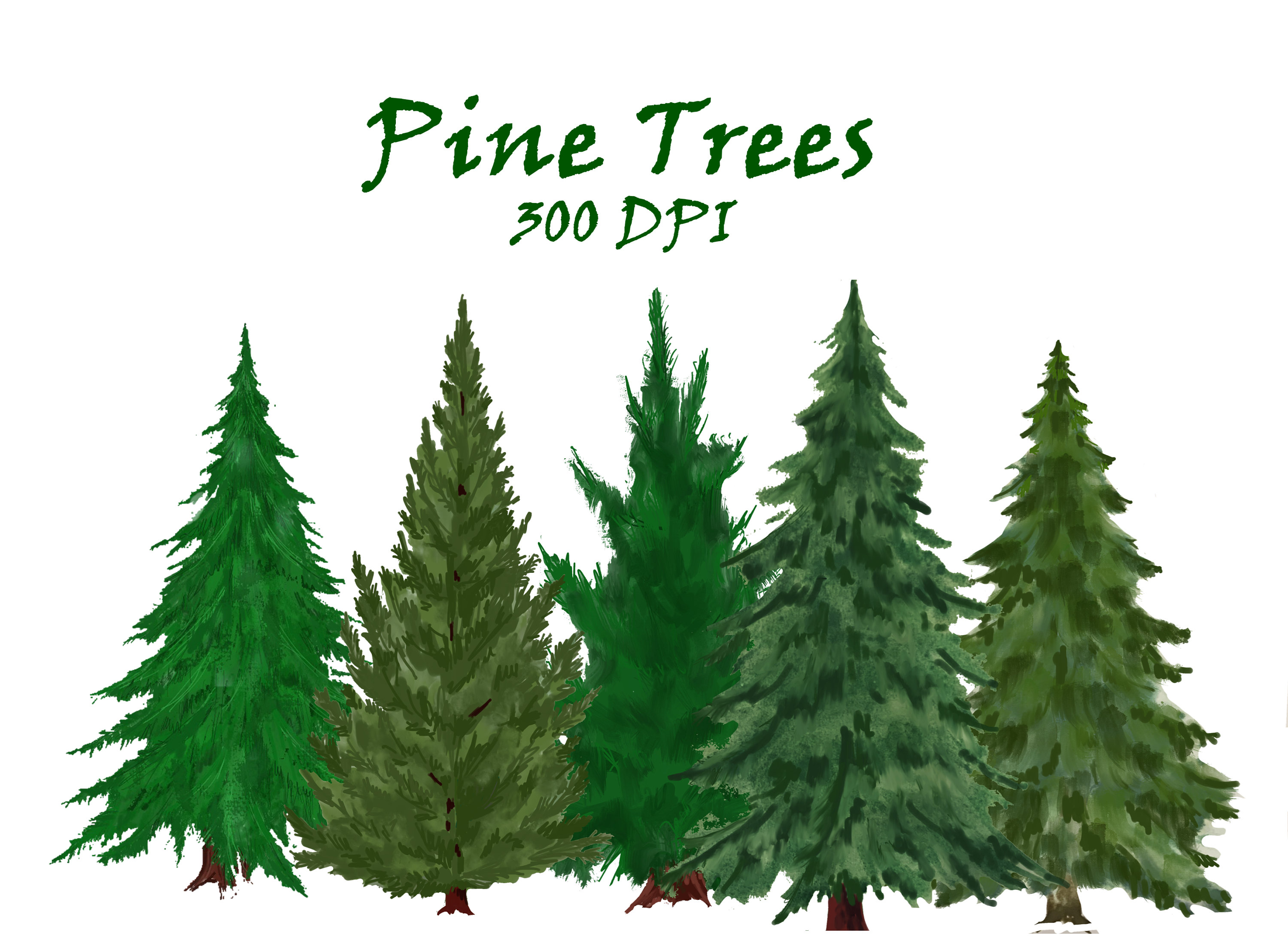 Pine Trees Watercolor Clipart. Fir Trees PNG. Evergreen Tree - Etsy