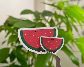 Watermelon Sticker Set | Cute Food Stickers | Fruit Stickers