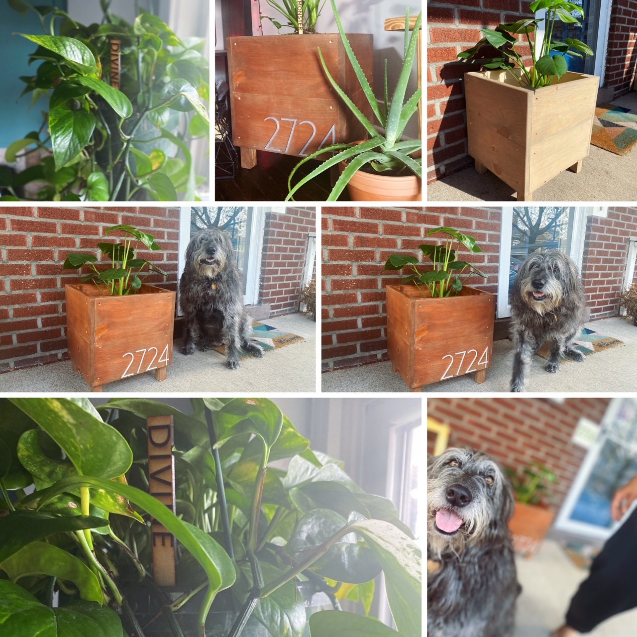 Caja de jardinera pequeña de 20 caja de jardinera de | Etsy