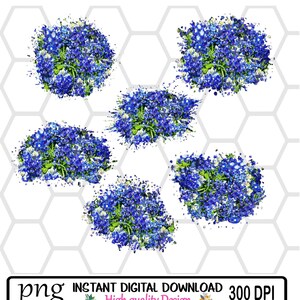 May include: Six digital images of bluebonnet flowers with a white background. The flowers are arranged in a circular pattern with a white background. The images are 300 DPI and are for instant digital download.