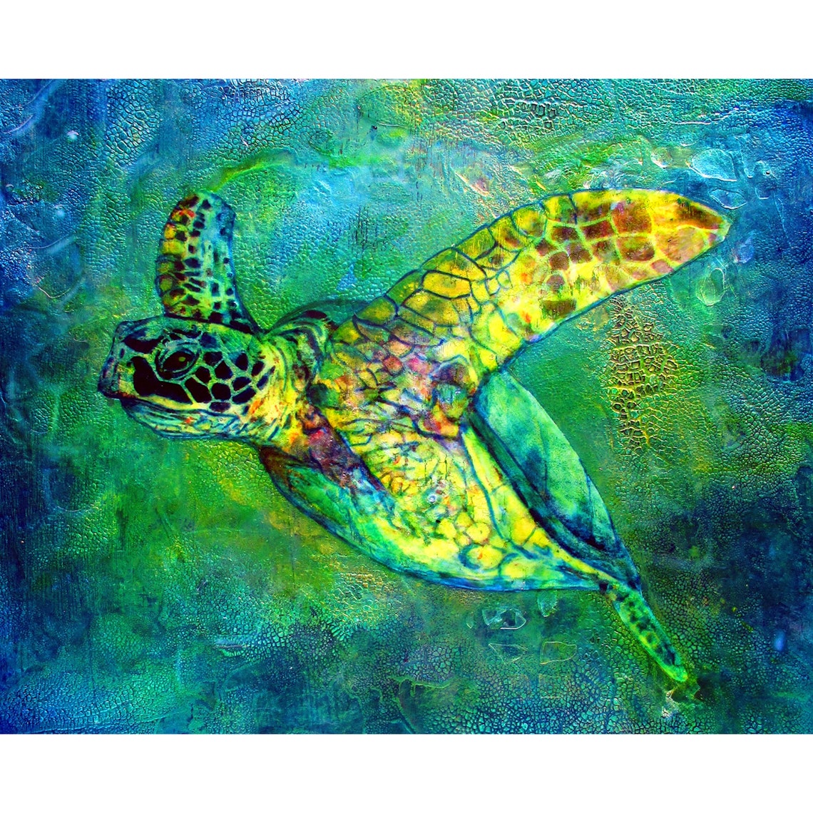 Schildkröte Malen nach Zahlen Tierfarbe nach Zahl DIY | Etsy