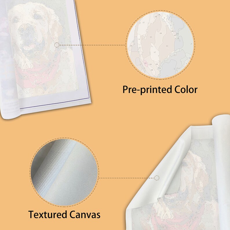 Succulent garden Paint by number kit adult DIY coloring by image 6